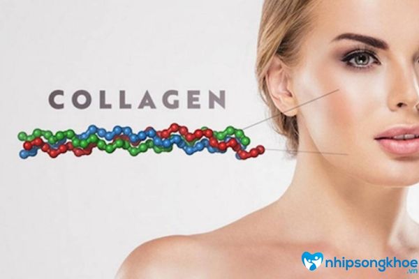 Bổ sung collagen cho da