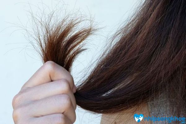 Tóc bị sần sùi gây mất thẩm mỹ cho tóc